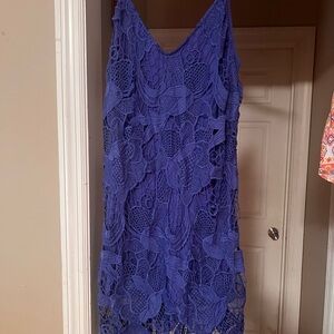 Express Vibrant Blue Backless Lace Dress